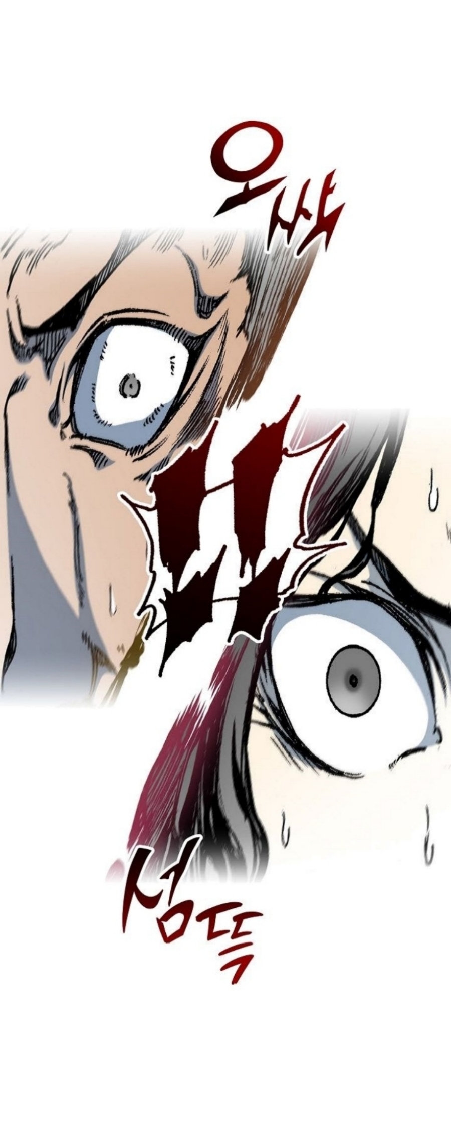 Memoir Of The King Of War 88 (25)